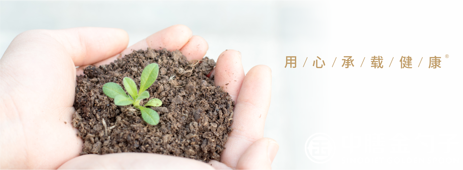 1652854112535141.png 頂關(guān)注.png