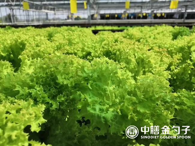 1658538711196235.png 圖片2.png