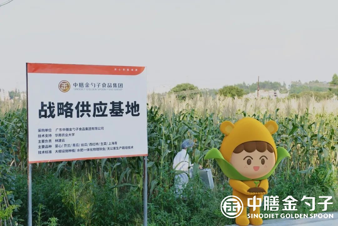 1667207943172909.jpg 16.jpg